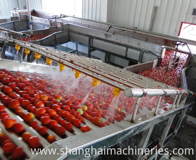 Automatic cranberry processing line